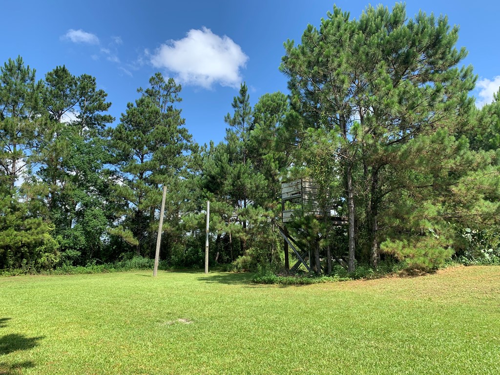 6529 Farm Rd, 32465