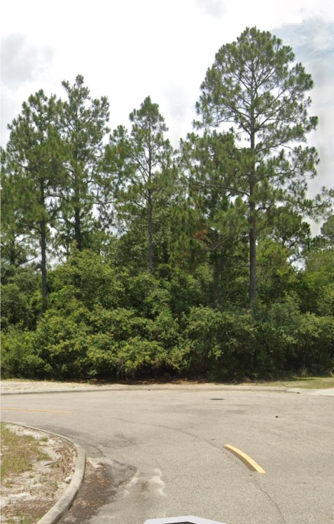162 Skimmer Dr, 32323