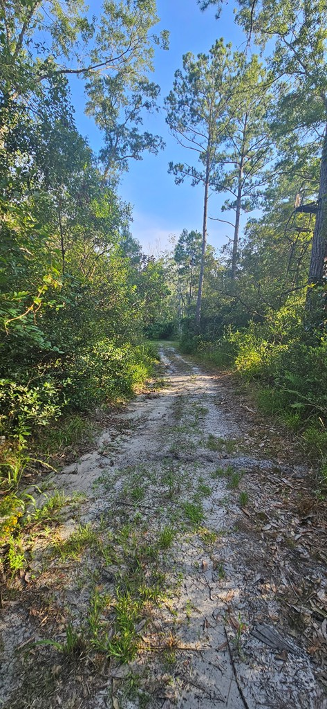 800 Hickory Hammock Rd, 32322