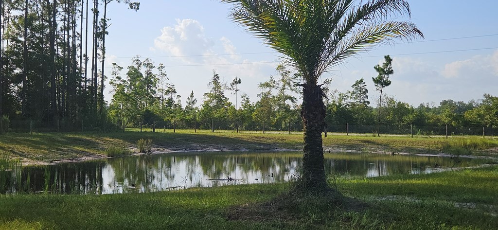 800 Hickory Hammock Rd, 32322