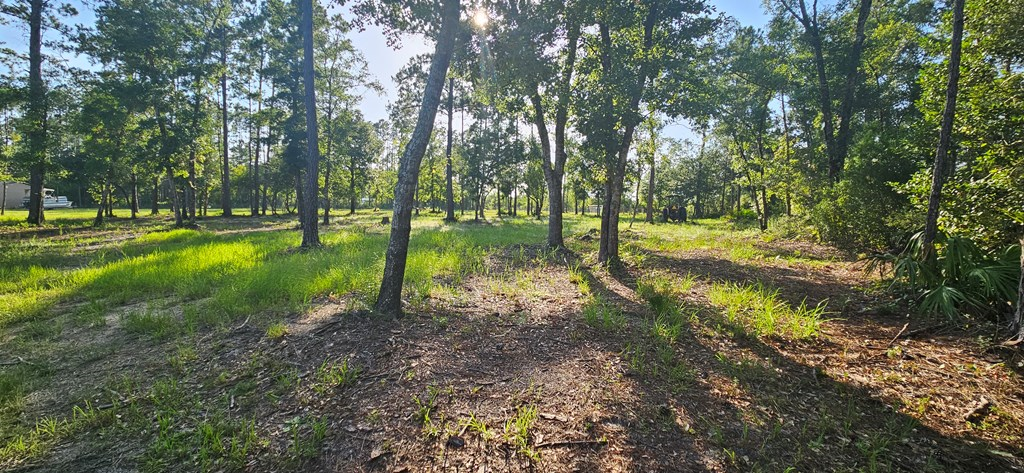 800 Hickory Hammock Rd, 32322