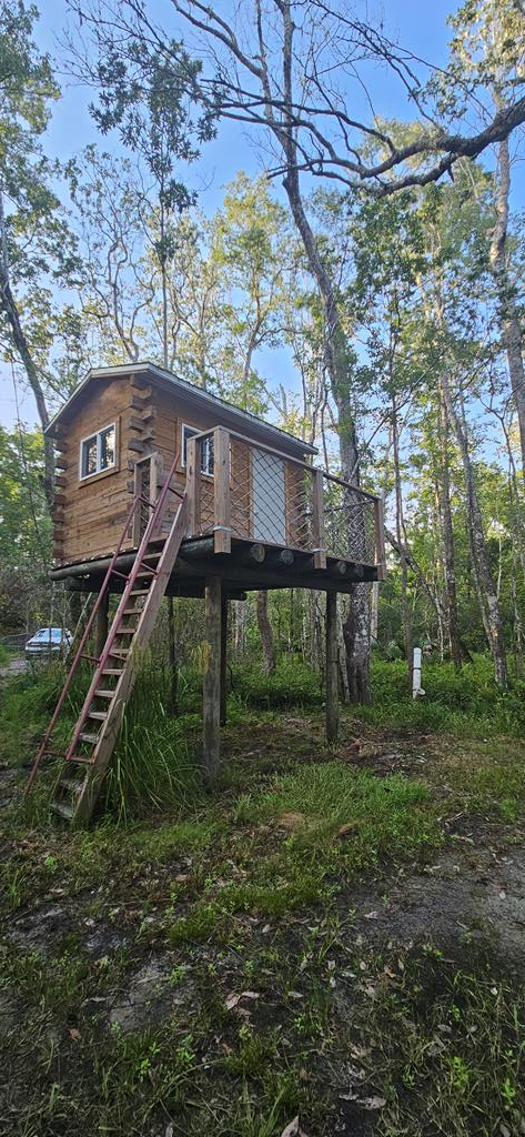 800 Hickory Hammock Rd, 32322