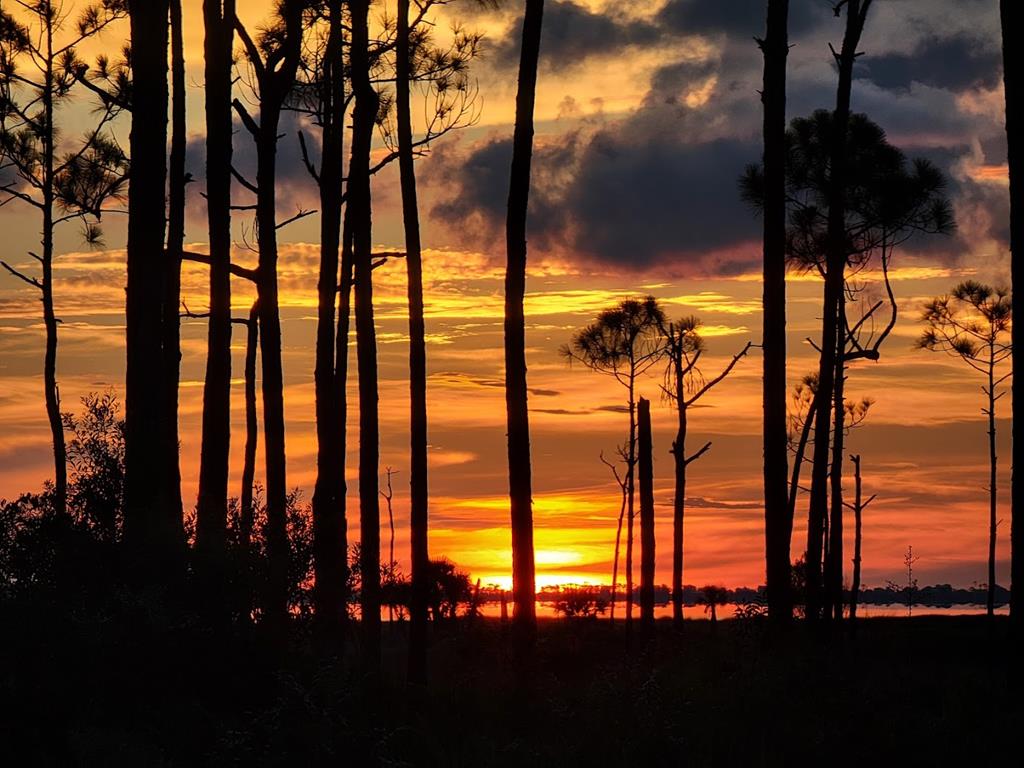 4224 Sr 30-a, Port St. Joe 32456