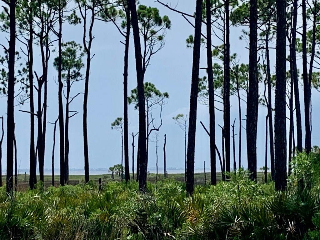 4224 Sr 30-a, Port St. Joe 32456