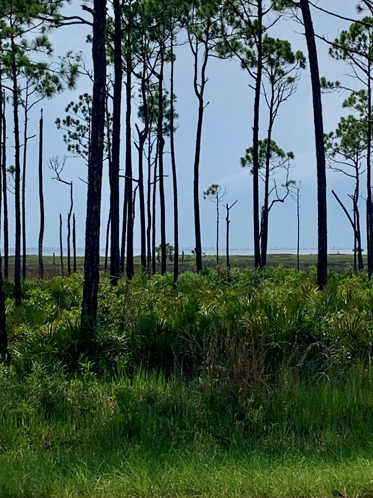 4224 Sr 30-a, Port St. Joe 32456