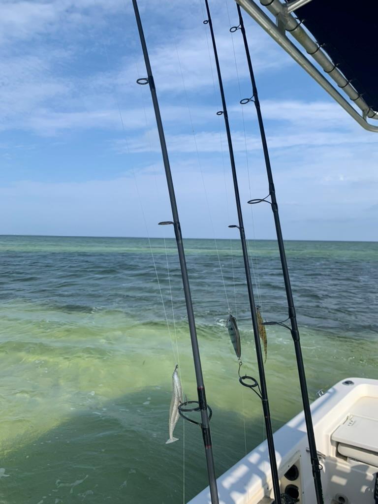 4224 Sr 30-a, Port St. Joe 32456