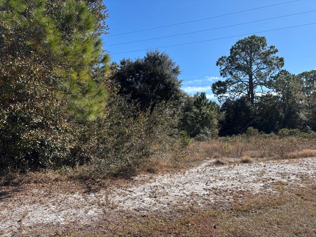 228 Boncycle Land Dr, 32328