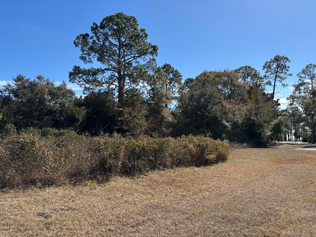 228 Boncycle Land Dr, 32328