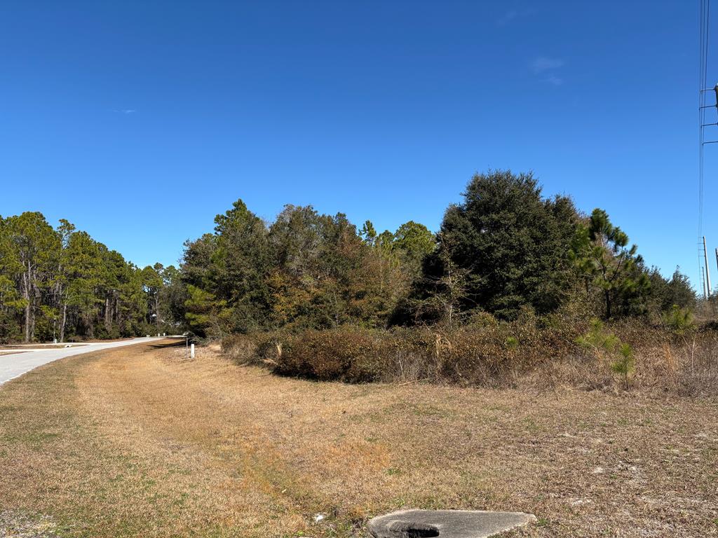 228 Boncycle Land Dr, 32328