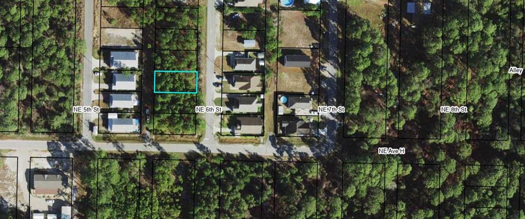 905 Ne 6th St, 32322