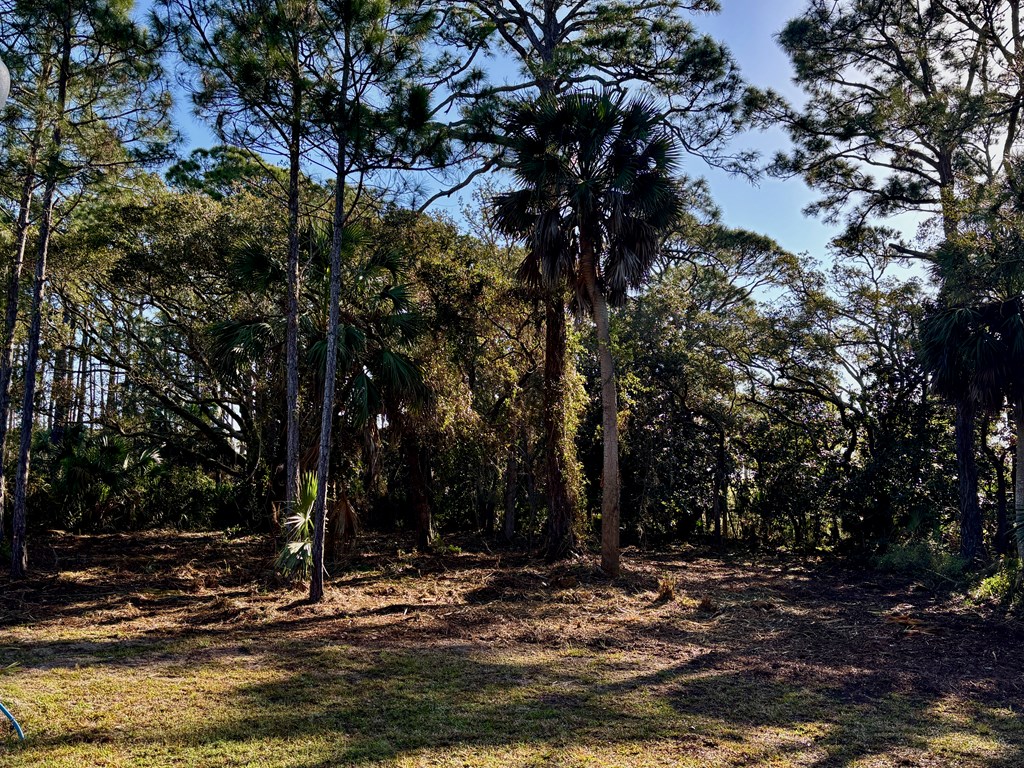 Lot 37 Waters Edge Dr, Port St. Joe 32456