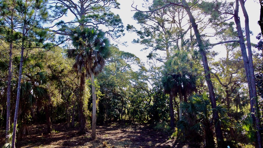Lot 37 Waters Edge Dr, Port St. Joe 32456