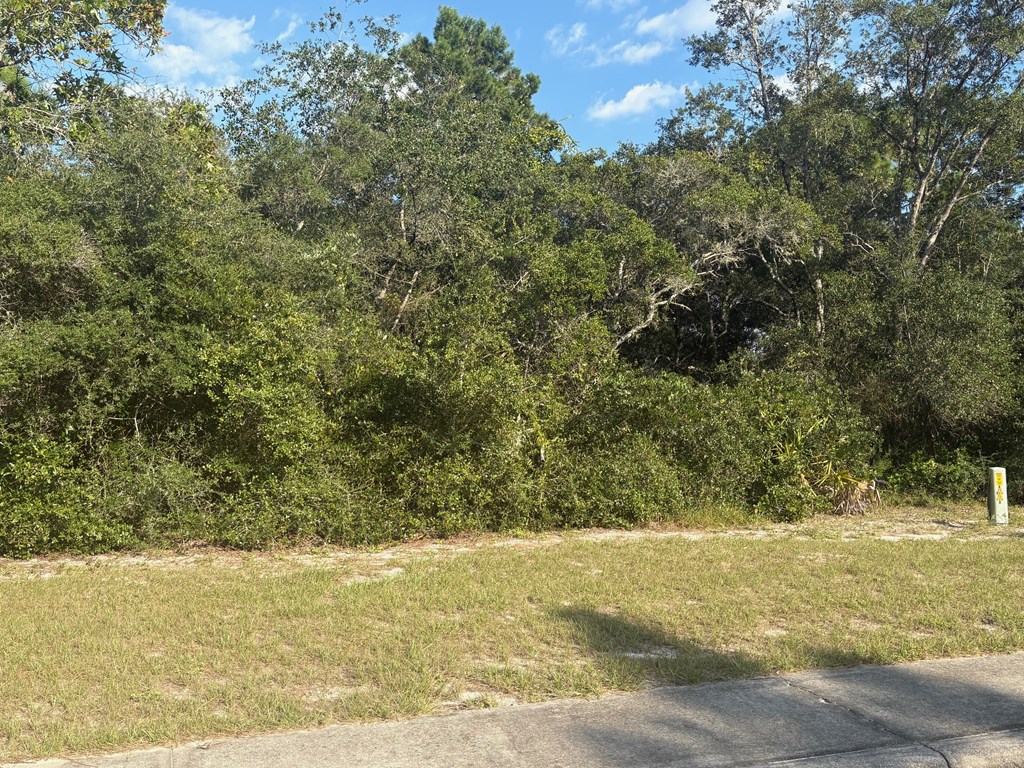 114 Spoonbill Ct, 32323