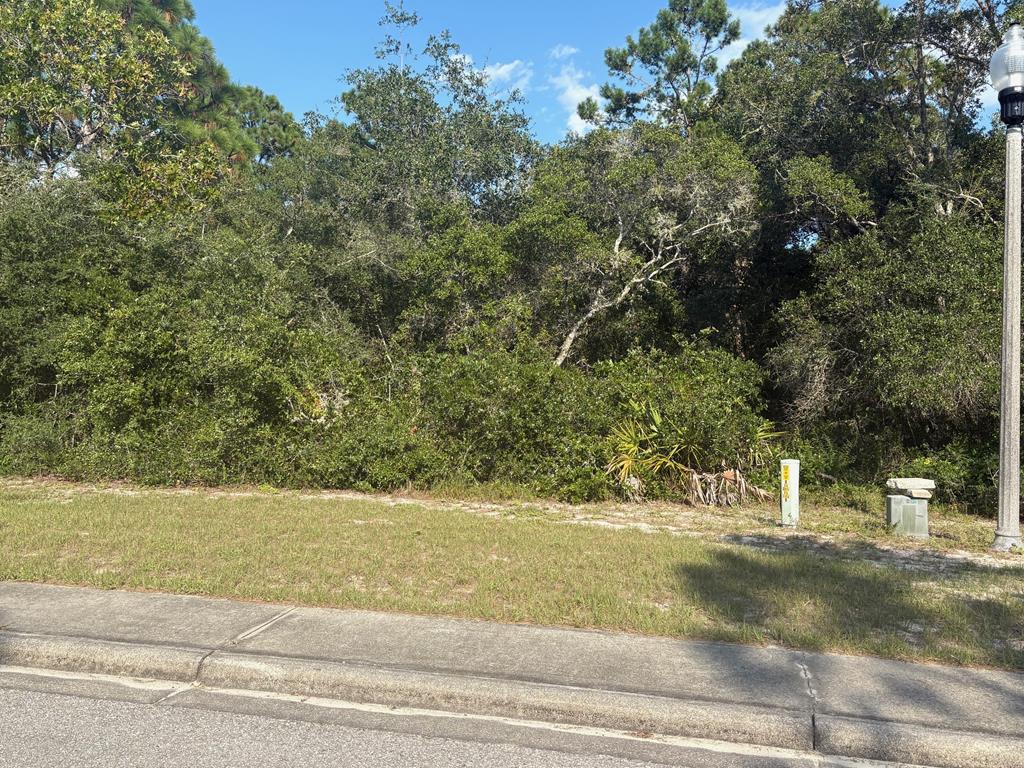 114 Spoonbill Ct, 32323