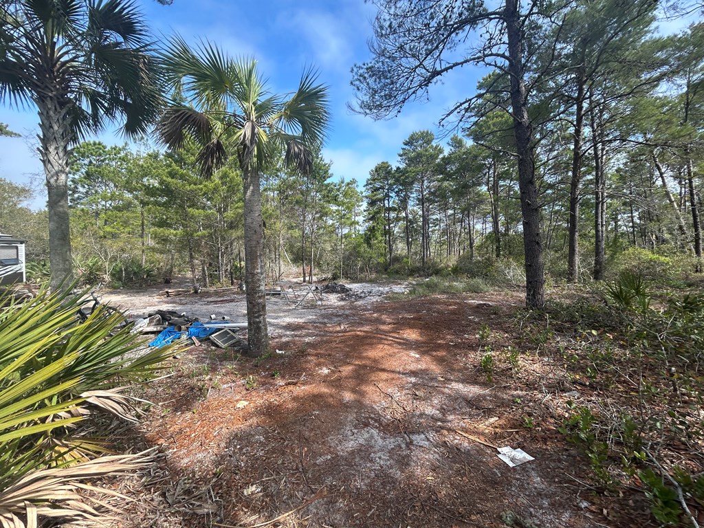 1863 Lighthouse Rd, 32322