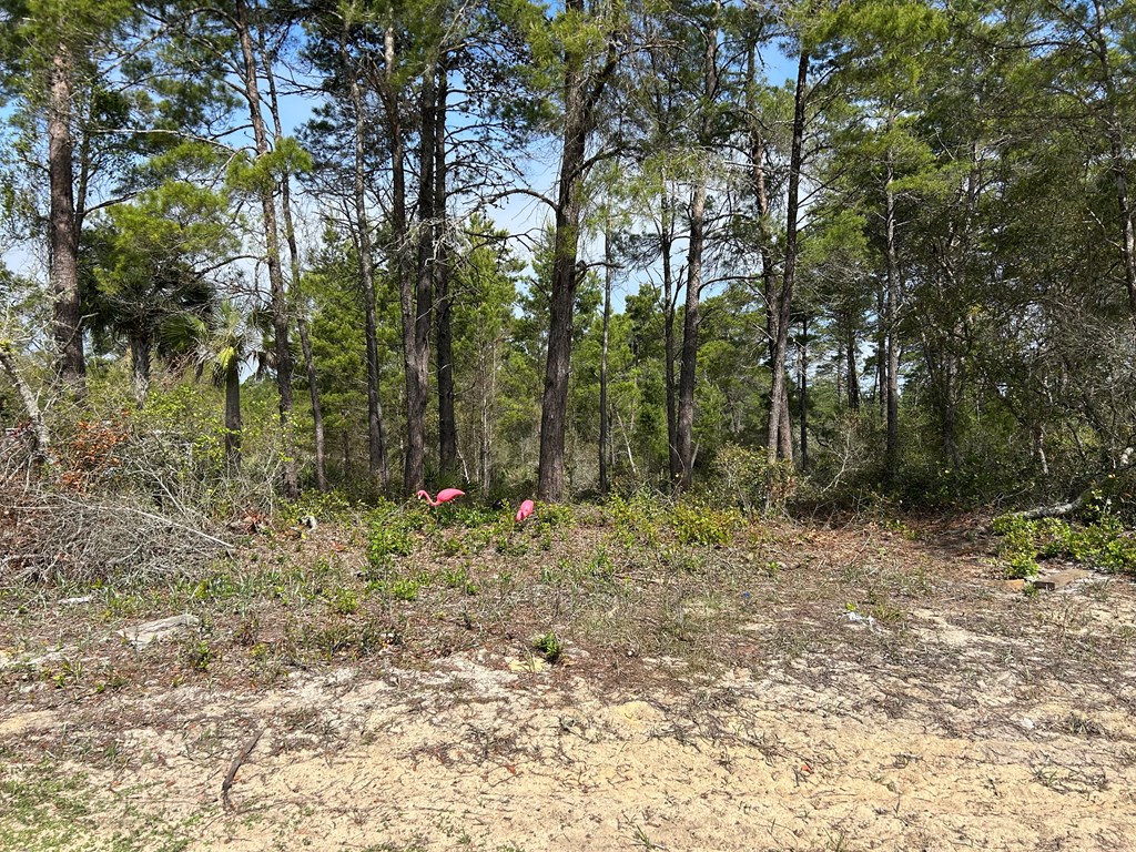 1863 Lighthouse Rd, 32322