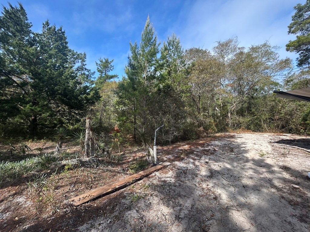 1863 Lighthouse Rd, 32322