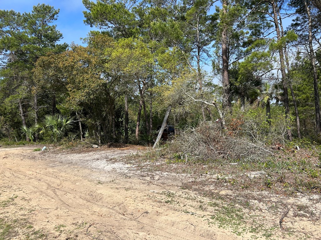 1863 Lighthouse Rd, 32322