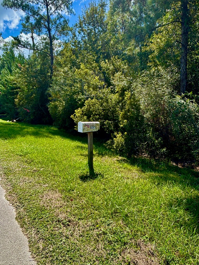 6641 Farm Rd, 32465