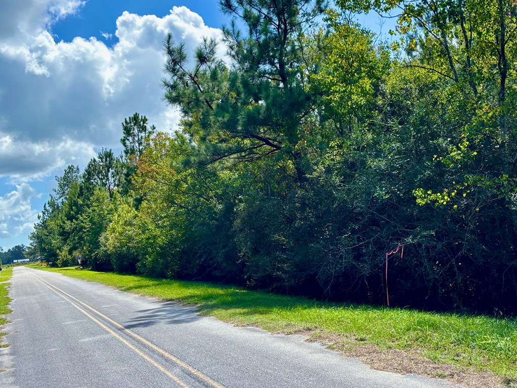 6641 Farm Rd, 32465