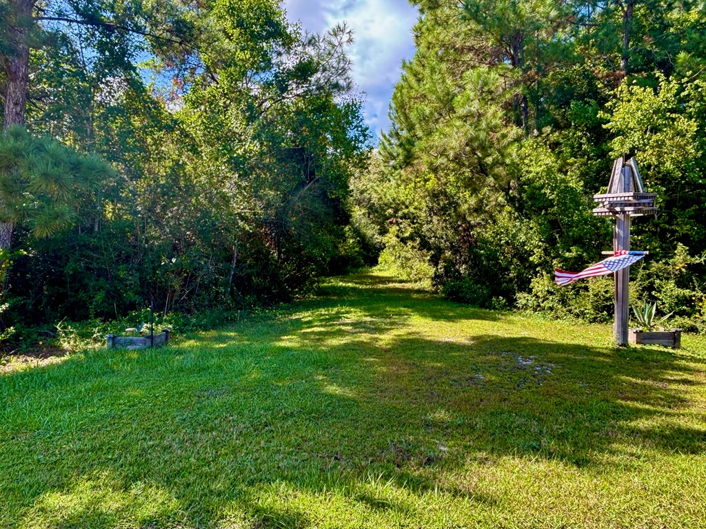6641 Farm Rd, 32465