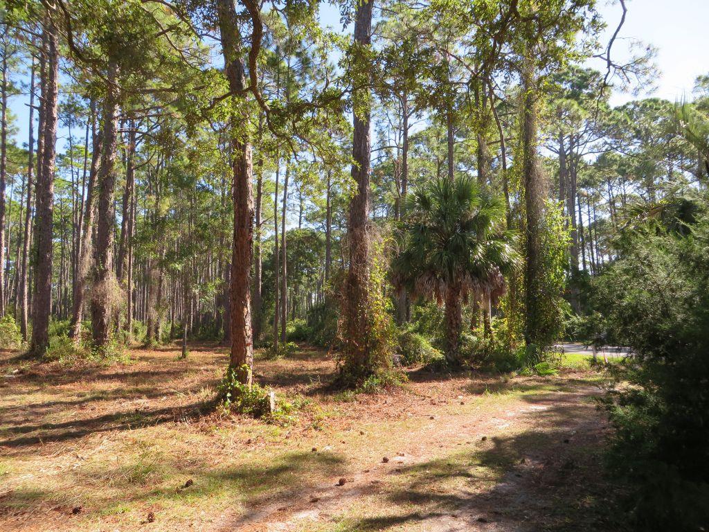 2447 Hwy 98 W, 32322