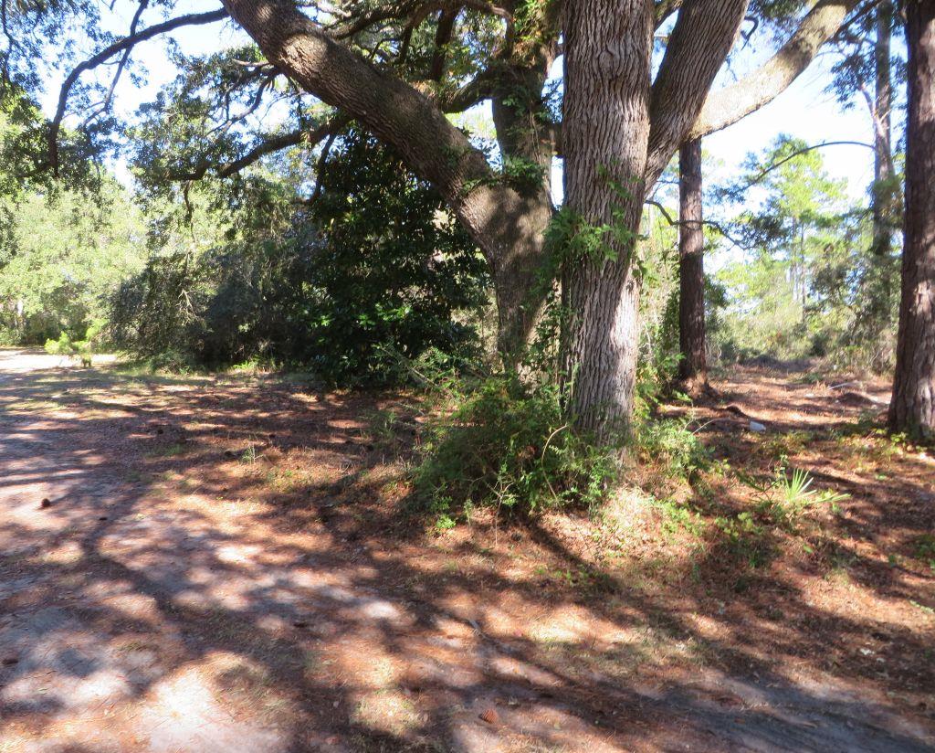 2447 Hwy 98 W, 32322