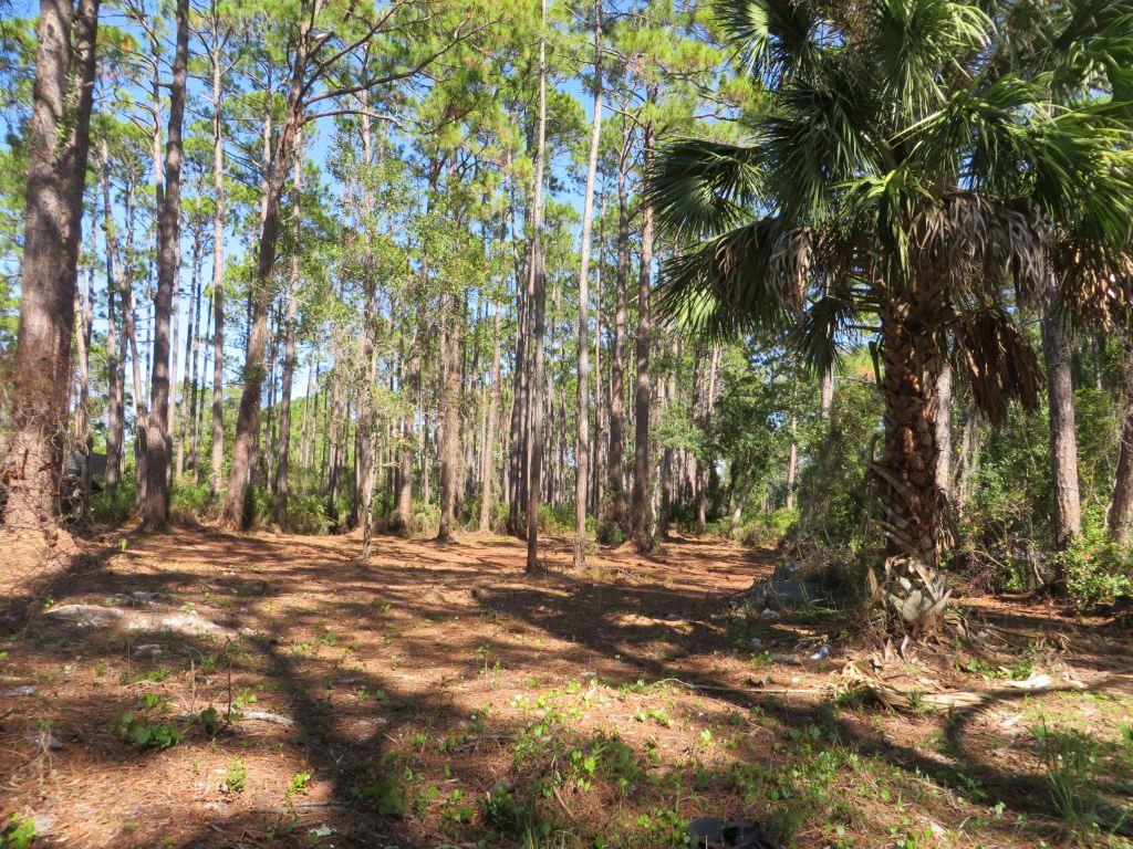 2447 Hwy 98 W, 32322