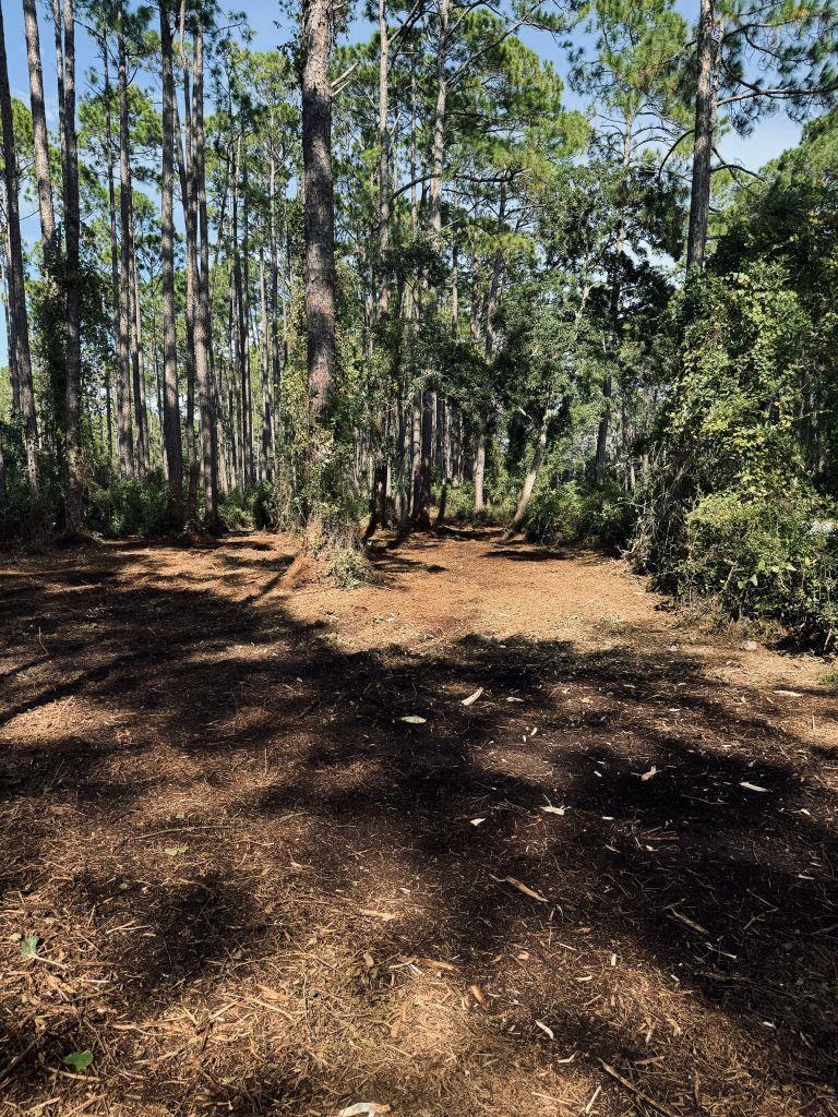 2447 Hwy 98 W, 32322