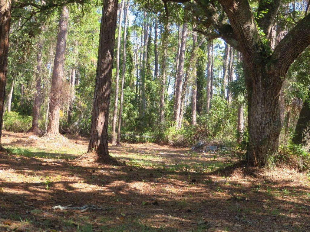 2447 Hwy 98 W, 32322