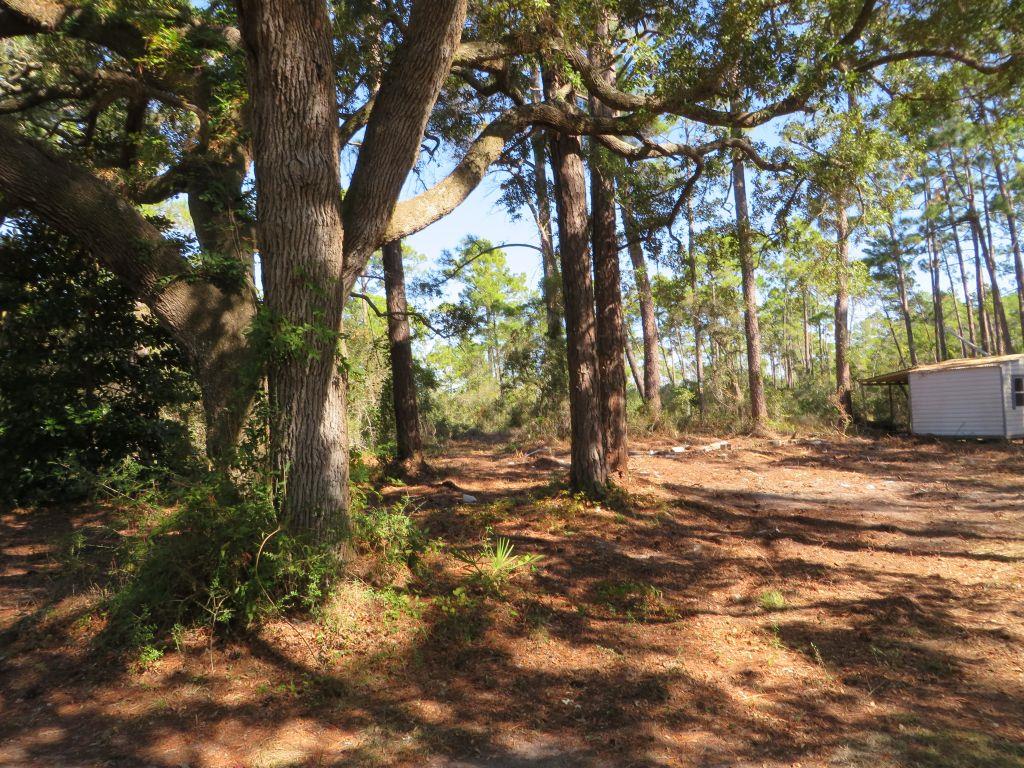 2447 Hwy 98 W, 32322