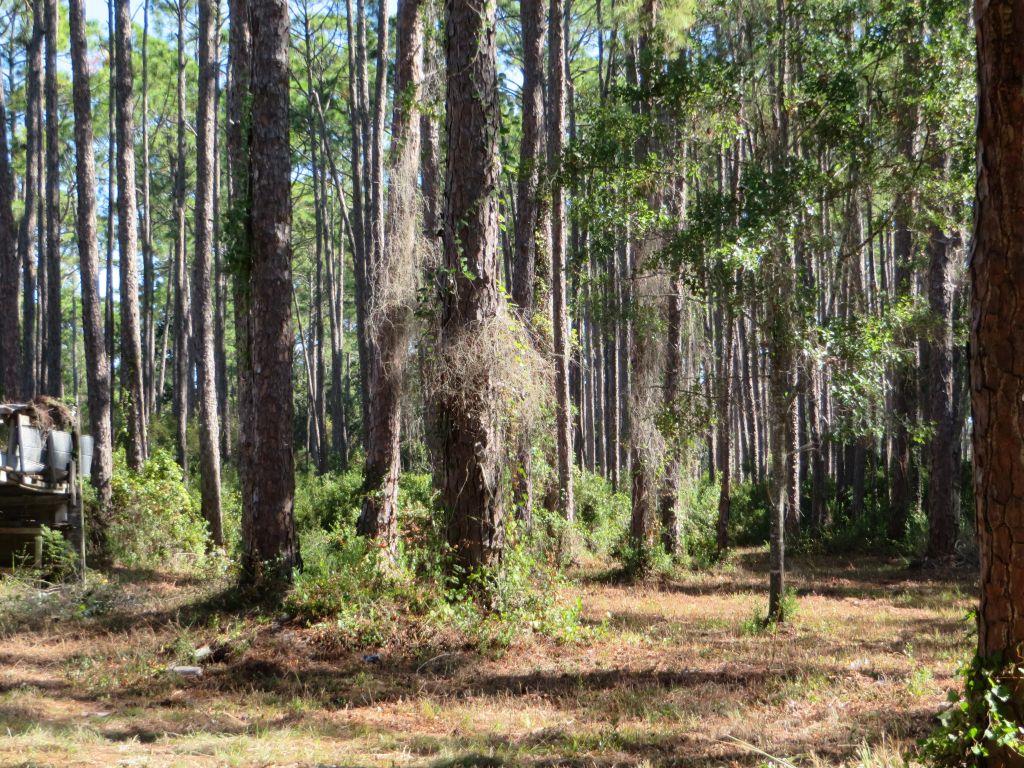 2447 Hwy 98 W, 32322