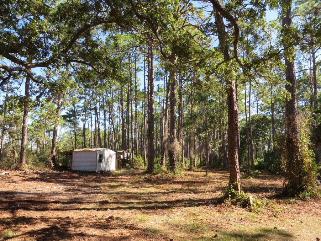 2447 Hwy 98 W, 32322
