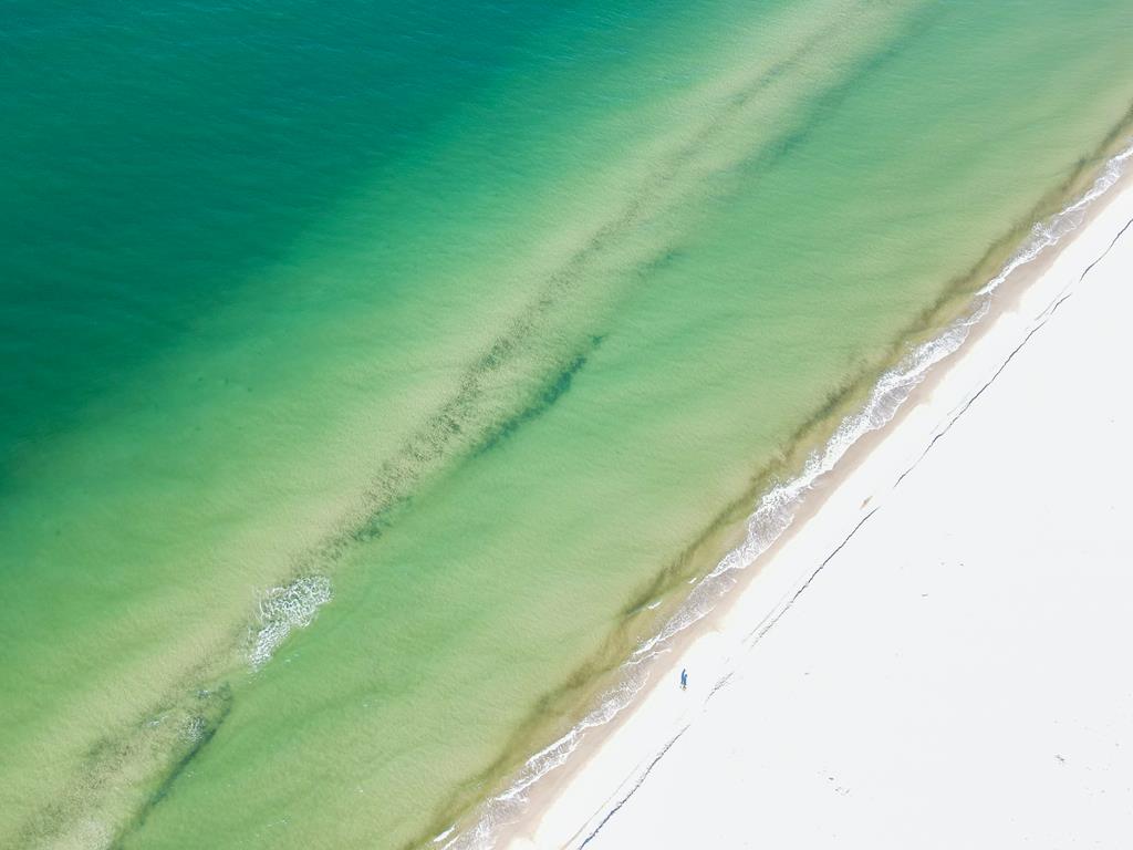 177 Sea Cliff Dr, 32456