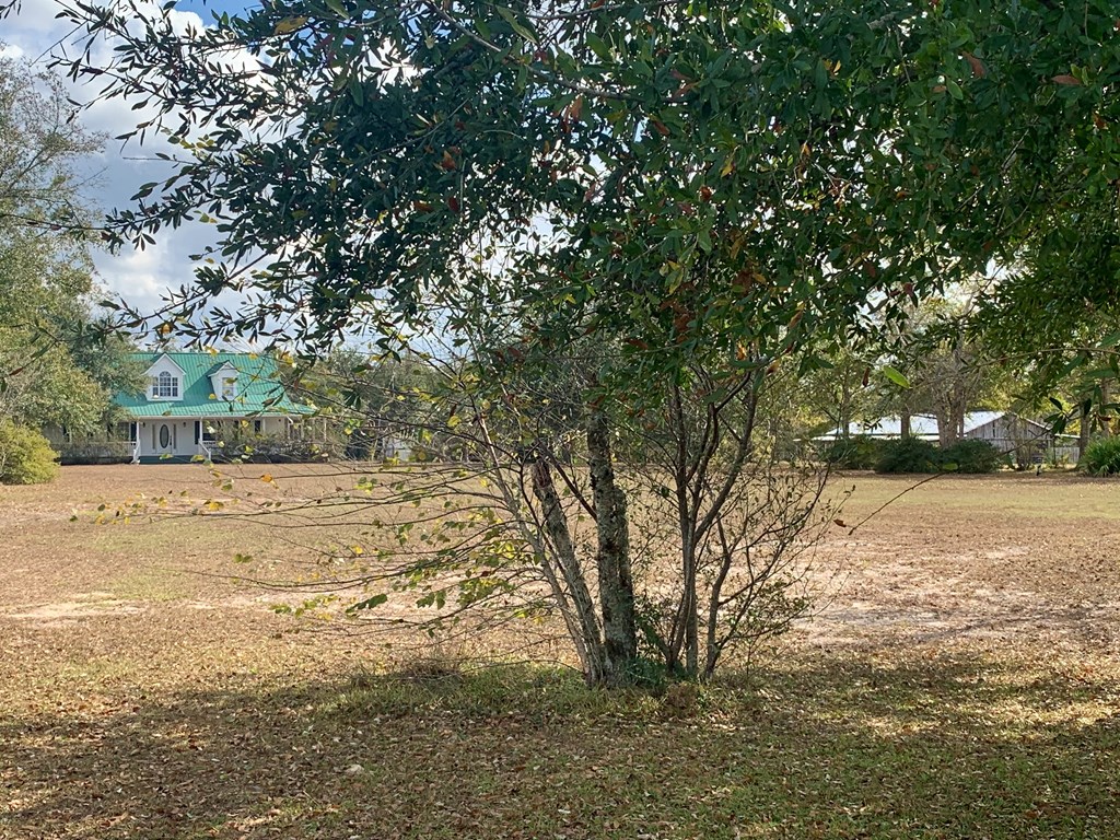 8225 Sw Cr 12 Rd, 32466
