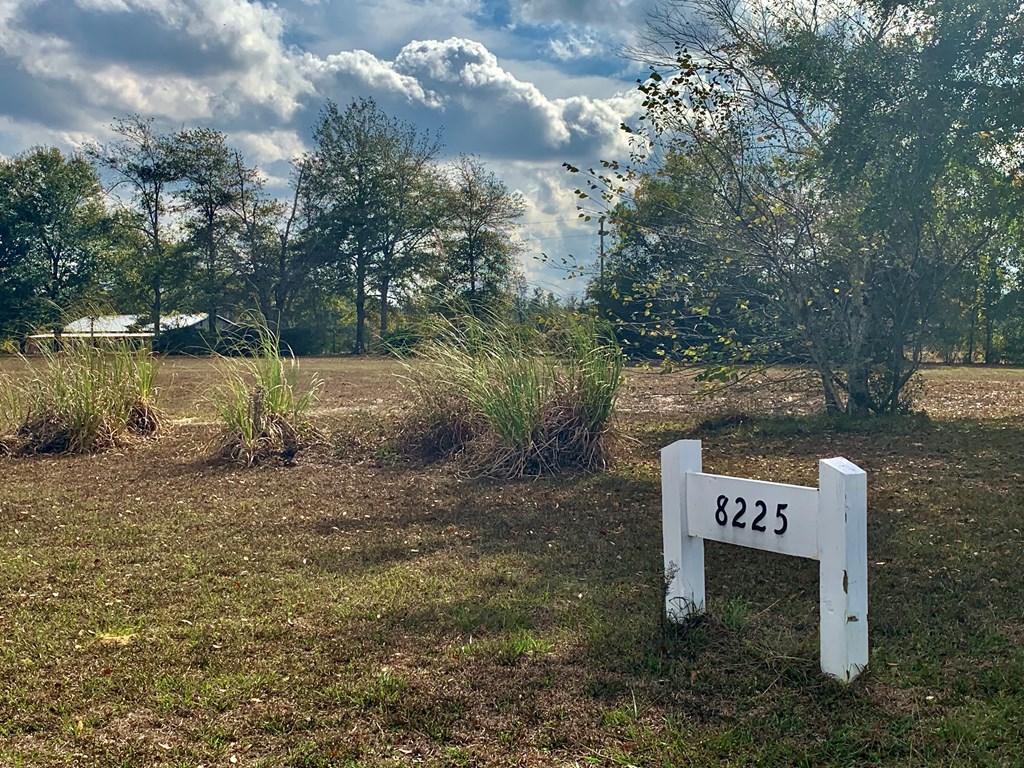 8225 Sw Cr 12 Rd, 32466