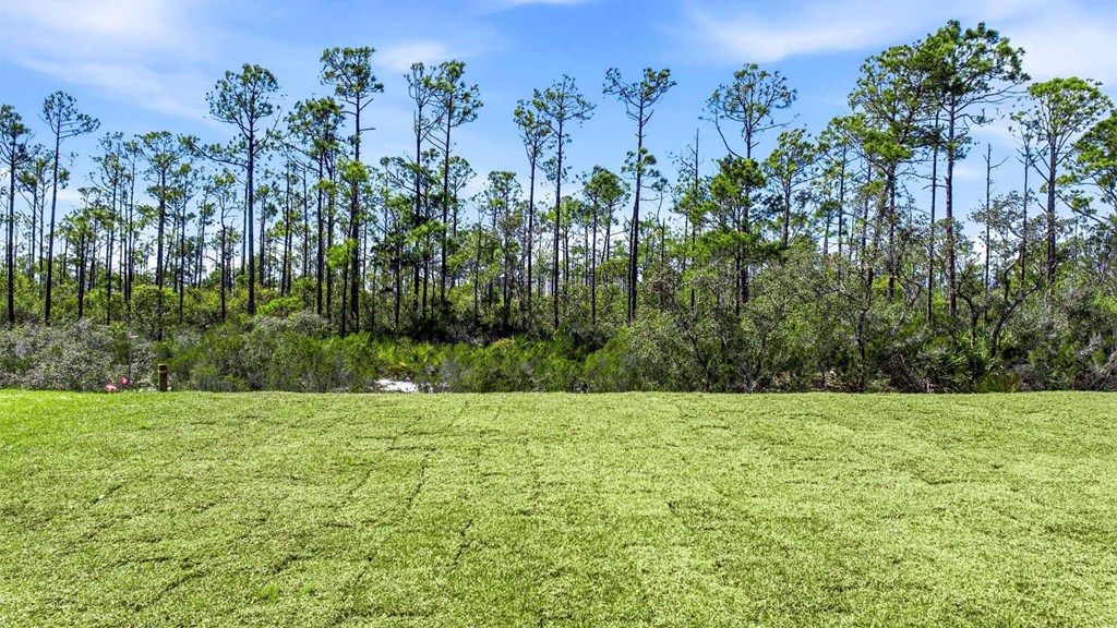 1043 Backwater Rd, Port St. Joe 32456