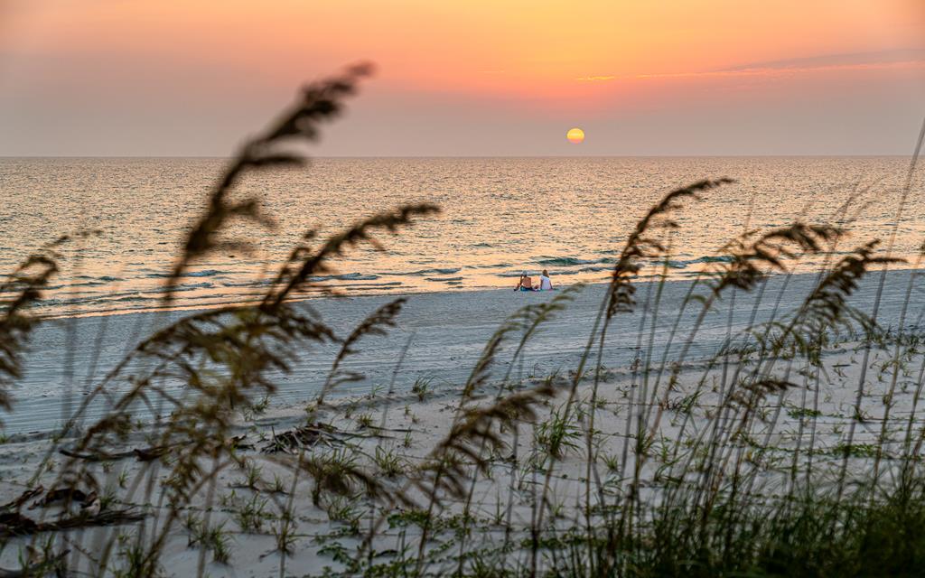 734 Indian Pass Rd, Port St. Joe 32456