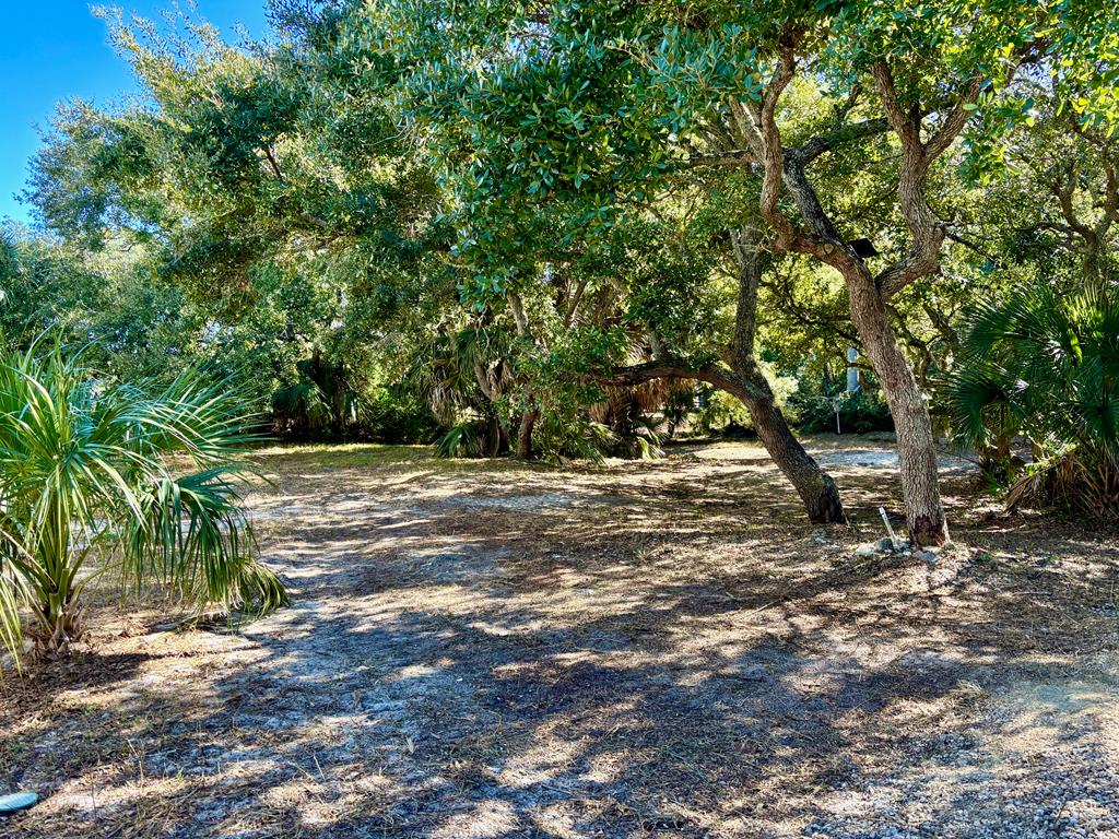 316 W Pine Ave, St. George Island 32328