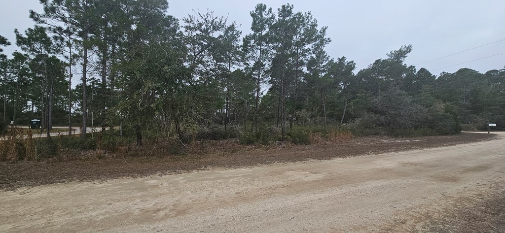 134 Timber Ln, 32322