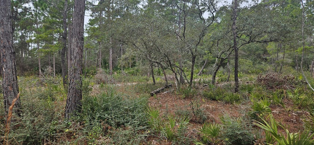 134 Timber Ln, 32322