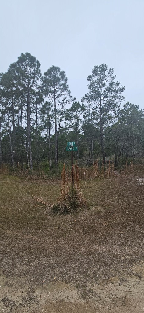 134 Timber Ln, 32322