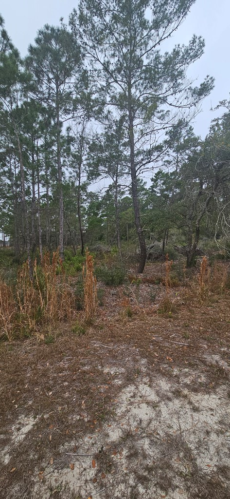 134 Timber Ln, 32322