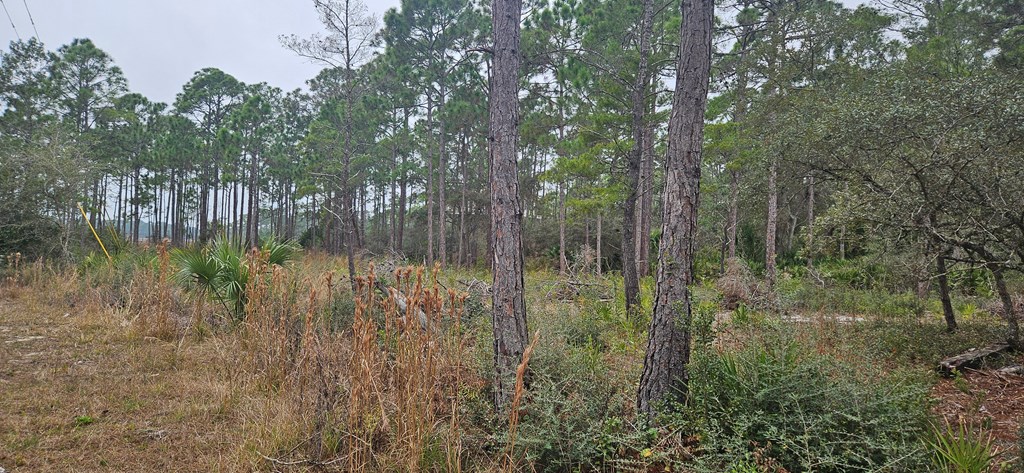 134 Timber Ln, 32322