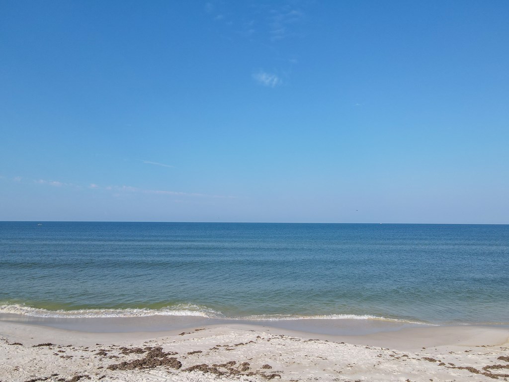 800 Hwy 98 # 305, 32456 Unit: 305