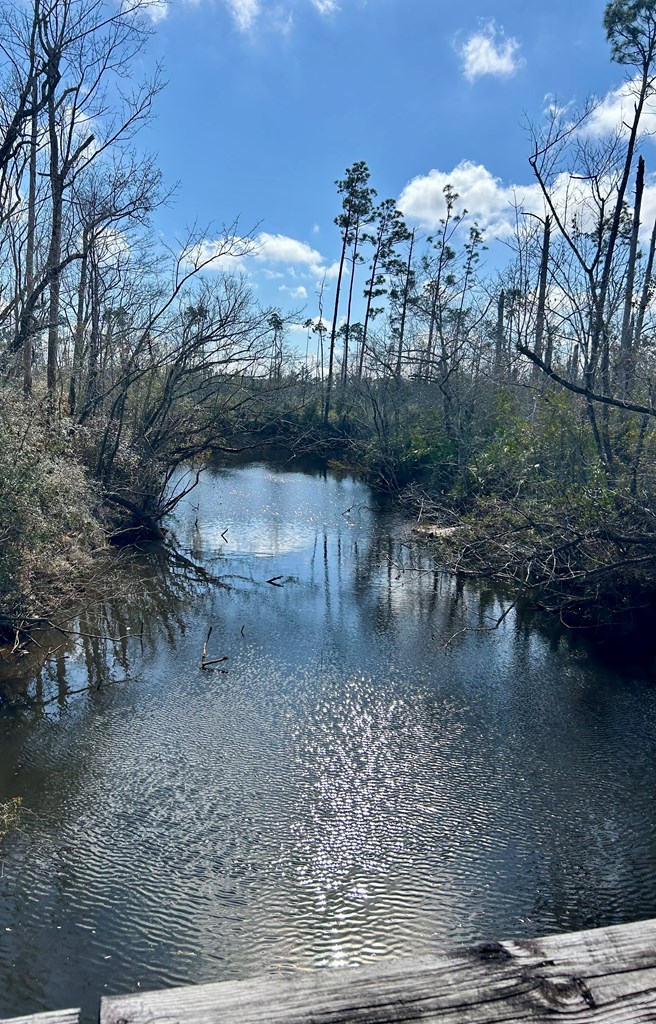 Lot 42 Buddy Floore Rd, 32465