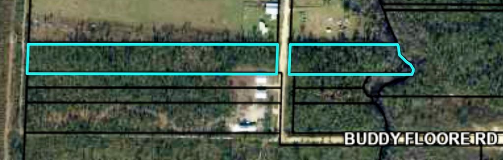 Lot 42 Buddy Floore Rd, 32465