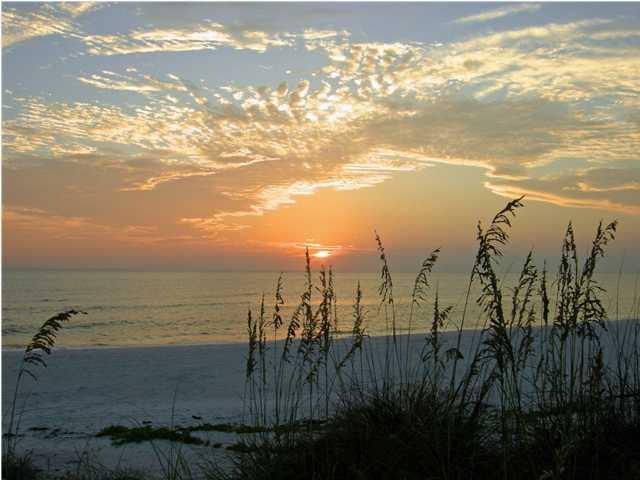 Lot 42 Buddy Floore Rd, 32465