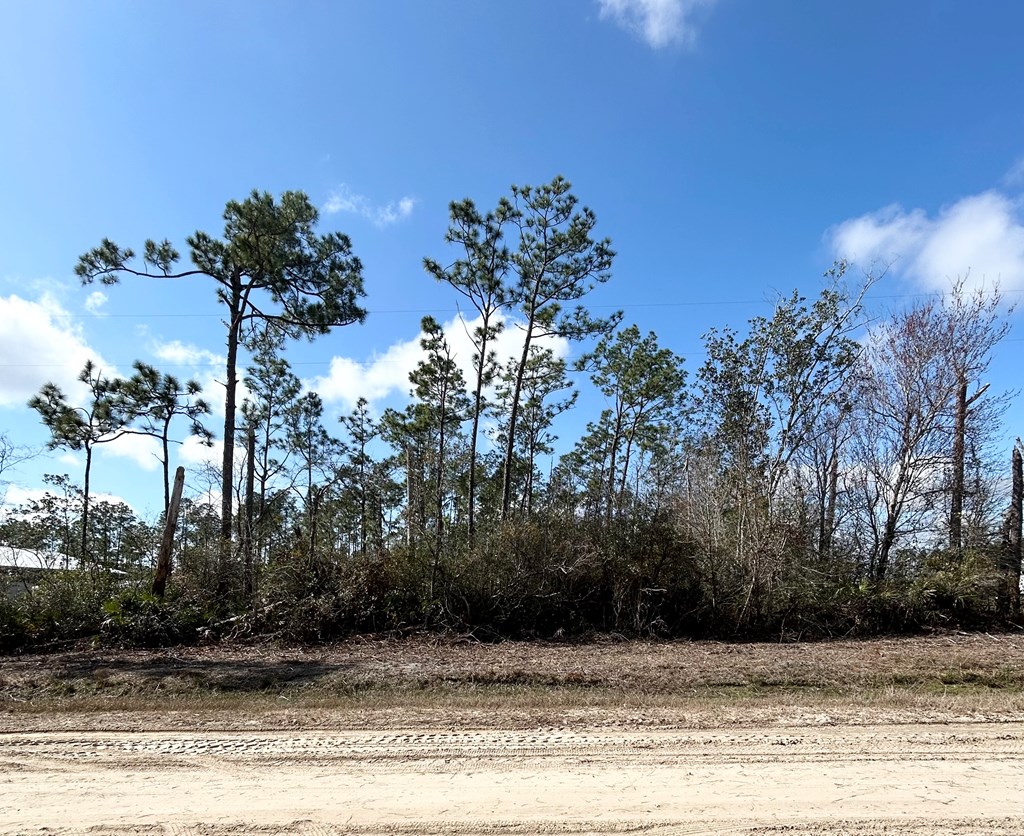 Lot 42 Buddy Floore Rd, 32465
