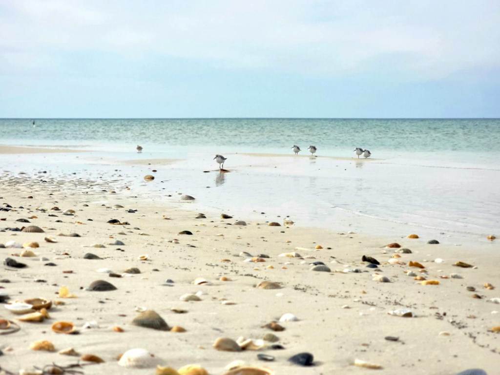 LOT 45 Mercury Ln, Port St. Joe 32456